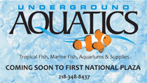 Underground Aquatics